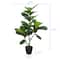 3ft. Potted Green Fiddle Leaf Fig Tree by Ashland®